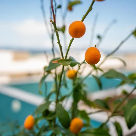 Oceanfront Oasis With Private Pool Stunning Views アパート *
